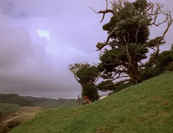 extant_XenaWarriorPrincess_2x11-HereSheComesMissAmphipolis_03579