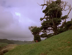 extant_XenaWarriorPrincess_2x11-HereSheComesMissAmphipolis_03580