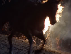 extant_XenaWarriorPrincess_2x12-Destiny_00145