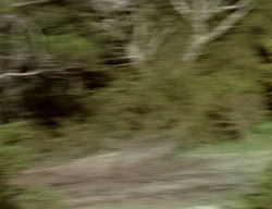 extant_XenaWarriorPrincess_2x12-Destiny_00187