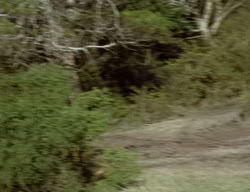 extant_XenaWarriorPrincess_2x12-Destiny_00189