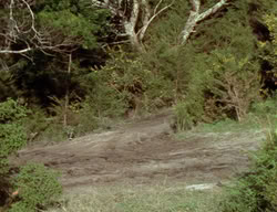 extant_XenaWarriorPrincess_2x12-Destiny_00191