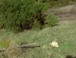 extant_XenaWarriorPrincess_2x12-Destiny_00195