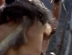 extant_XenaWarriorPrincess_2x12-Destiny_00234
