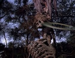 extant_XenaWarriorPrincess_2x12-Destiny_00291