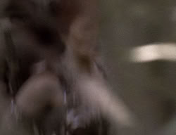 extant_XenaWarriorPrincess_2x12-Destiny_00372