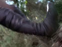 extant_XenaWarriorPrincess_2x12-Destiny_00423