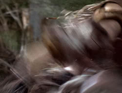 extant_XenaWarriorPrincess_2x12-Destiny_00424