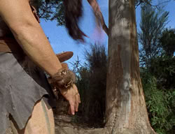 extant_XenaWarriorPrincess_2x12-Destiny_00445