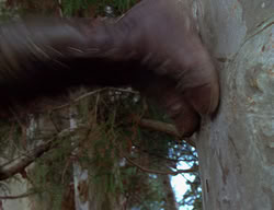 extant_XenaWarriorPrincess_2x12-Destiny_00446