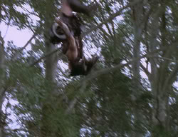 extant_XenaWarriorPrincess_2x12-Destiny_00457
