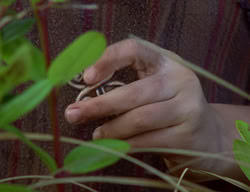 extant_XenaWarriorPrincess_2x12-Destiny_00466