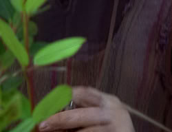 extant_XenaWarriorPrincess_2x12-Destiny_00467