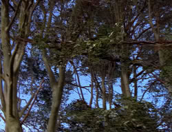 extant_XenaWarriorPrincess_2x12-Destiny_00485