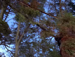 extant_XenaWarriorPrincess_2x12-Destiny_00487