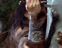 extant_XenaWarriorPrincess_2x12-Destiny_00491