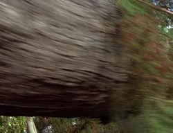 extant_XenaWarriorPrincess_2x12-Destiny_00496