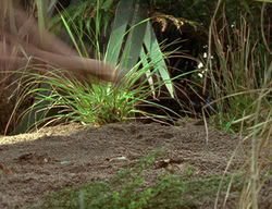 extant_XenaWarriorPrincess_2x12-Destiny_00502