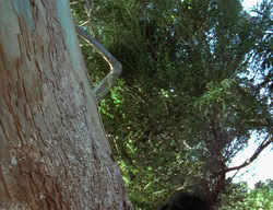 extant_XenaWarriorPrincess_2x12-Destiny_00508