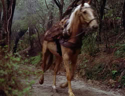 extant_XenaWarriorPrincess_2x12-Destiny_00704