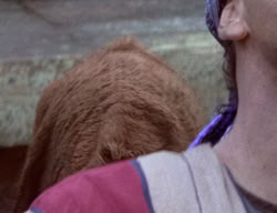 extant_XenaWarriorPrincess_2x12-Destiny_01142