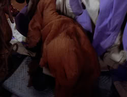 extant_XenaWarriorPrincess_2x12-Destiny_01253