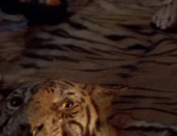 extant_XenaWarriorPrincess_2x12-Destiny_01812
