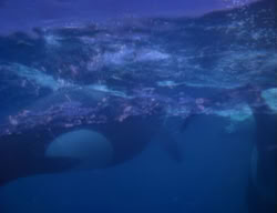 extant_XenaWarriorPrincess_2x12-Destiny_02194