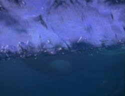 extant_XenaWarriorPrincess_2x12-Destiny_02195
