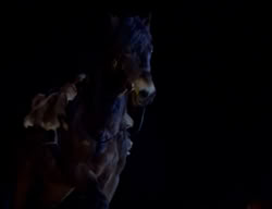 extant_XenaWarriorPrincess_2x12-Destiny_02856