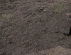 extant_XenaWarriorPrincess_2x13-TheQuest_00080