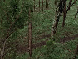 extant_XenaWarriorPrincess_2x13-TheQuest_00505