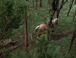 extant_XenaWarriorPrincess_2x13-TheQuest_00511
