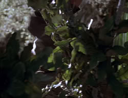 extant_XenaWarriorPrincess_2x13-TheQuest_00515
