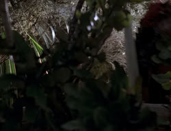 extant_XenaWarriorPrincess_2x13-TheQuest_00519