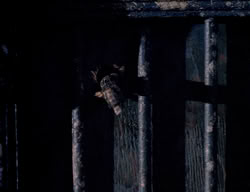 extant_XenaWarriorPrincess_2x13-TheQuest_00867