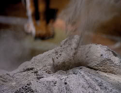 extant_XenaWarriorPrincess_2x13-TheQuest_00930