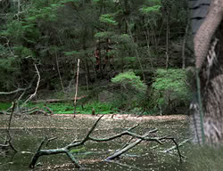 extant_XenaWarriorPrincess_2x13-TheQuest_01128
