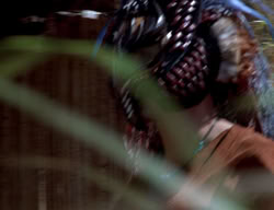 extant_XenaWarriorPrincess_2x13-TheQuest_01534