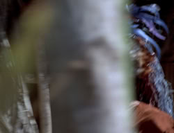 extant_XenaWarriorPrincess_2x13-TheQuest_01536