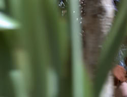 extant_XenaWarriorPrincess_2x13-TheQuest_01537