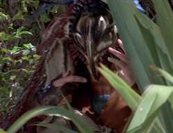 extant_XenaWarriorPrincess_2x13-TheQuest_01541