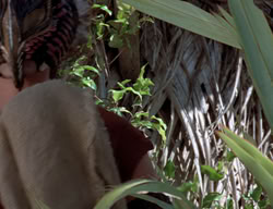 extant_XenaWarriorPrincess_2x13-TheQuest_01566