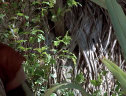 extant_XenaWarriorPrincess_2x13-TheQuest_01567