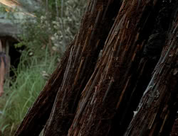 extant_XenaWarriorPrincess_2x13-TheQuest_02170