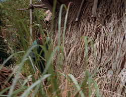 extant_XenaWarriorPrincess_2x13-TheQuest_02185