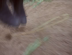 extant_XenaWarriorPrincess_2x13-TheQuest_02233