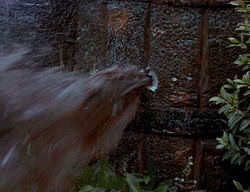 extant_XenaWarriorPrincess_2x13-TheQuest_02296