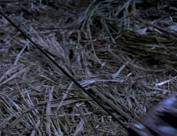 extant_XenaWarriorPrincess_2x13-TheQuest_02400