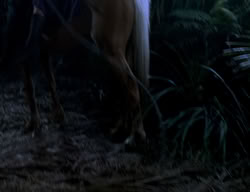 extant_XenaWarriorPrincess_2x13-TheQuest_02405